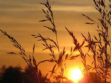 NBA下赛季MVP赔率前瞻，nba新赛季mvp榜单